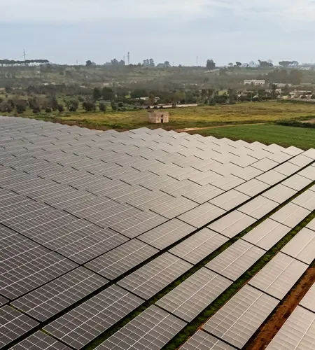 Ein großes Feld mit Solarmodulen in einer ländlichen Gegend mit Gebäuden im Hintergrund.