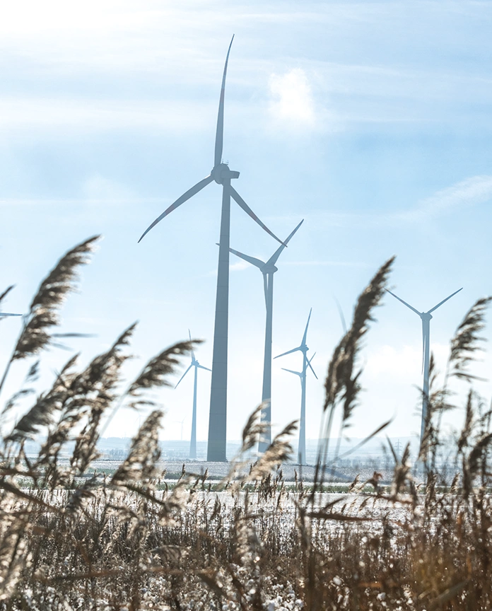Das Bild zeigt vereinzelte Windräder in einer kühlen Winterlandschaft bei strahlend blauem Himmel in Carnuntum Österreich.